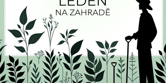 BANER-LEDEN