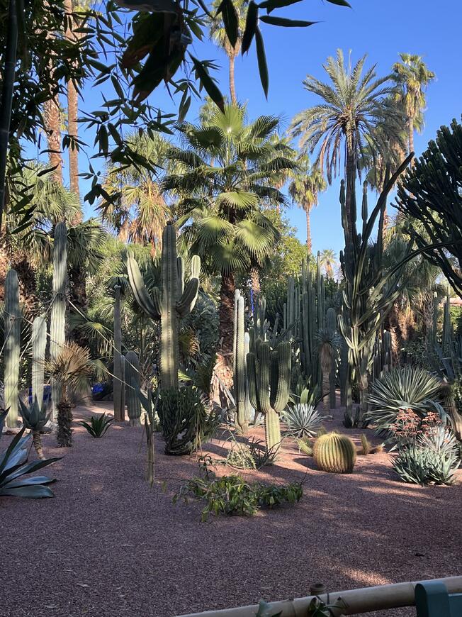 Jardin Majorelle