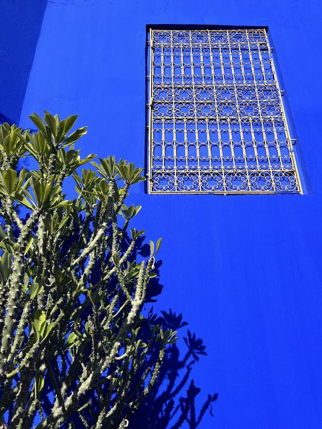 Jardin Majorelle