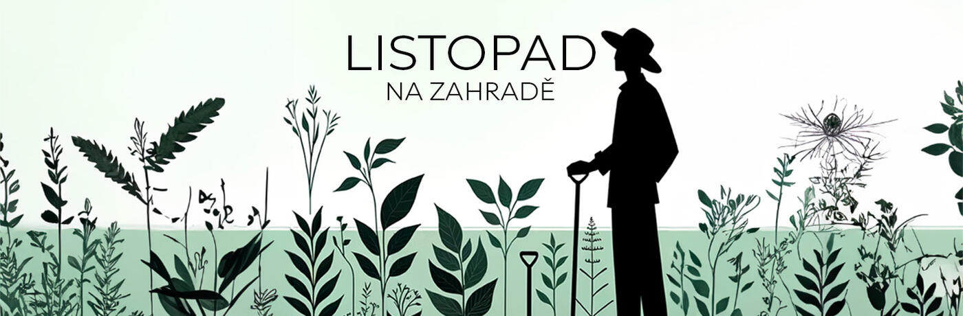 LISTOPAD baner blog