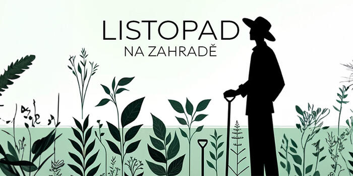 LISTOPAD baner blog