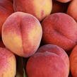 Broskvoň obecná 'Fruit Me®Peach Me Red' - Prunus persica 'Fruit Me®Peach Me Red'