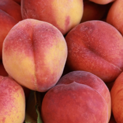 Broskvoň obecná 'Fruit Me®Peach Me Red' - Prunus persica 'Fruit Me®Peach Me Red'