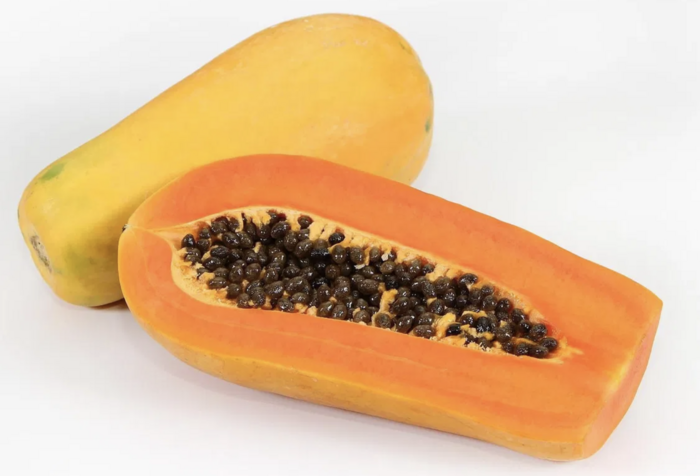 Papája obecná 'Sunnybees' - Carica papaya 'Sunnybees'