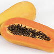 Papája obecná 'Sunnybees' - Carica papaya 'Sunnybees'