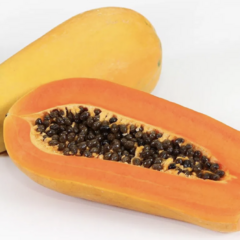 Papája obecná 'Sunnybees' - Carica papaya 'Sunnybees'