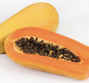 Papája obecná 'Sunnybees' - Carica papaya 'Sunnybees'