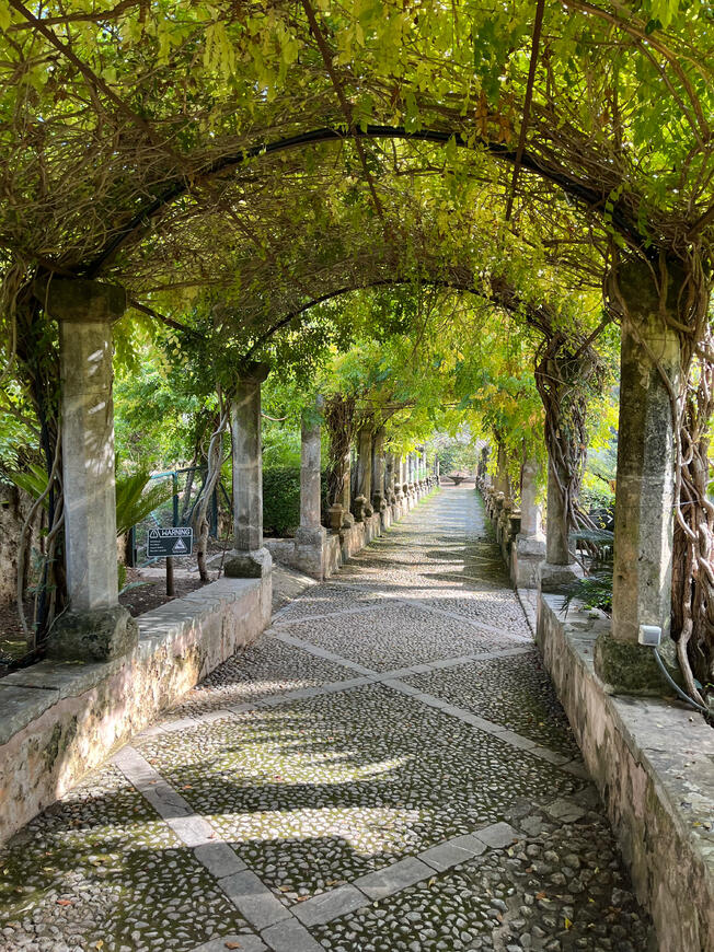 Zahrada Mallorca