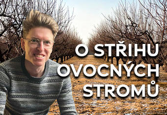 O střihu ovocných stromů podcast