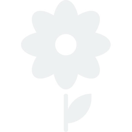 Pěnišník 'Albert Schweitzer' - Rhododendron 'Albert Schweitzer'